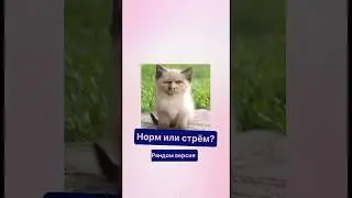 Норм или стрем??)) Рандом версия #choose#food#quiz