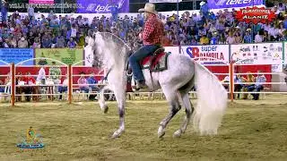 EN EXCLUSIVA A LOS QUE LES GUSTAN LOS CABALLOS BAILADORES ….LOS CABALLOS DE RANCHO EL AGUAJE