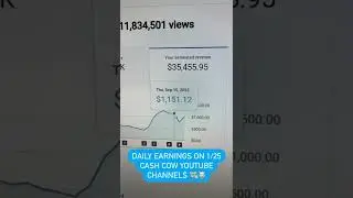 Youtube Channel Earnings Reveals #cashcow