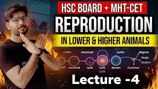 Reproduction in Lower & Higher Animals | Full Chapter | Class 12 Biology