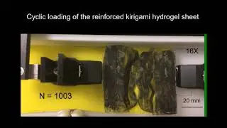 Fatigue characterization of a kirigami sheet