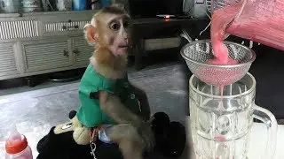 Wow Super Strong Baby Dodo!! Mom Make Miracle Drink For Cutie Dodo