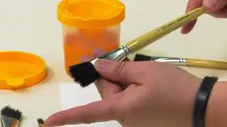 First Impressions Black Bristle Brushes Visual Commerce #1