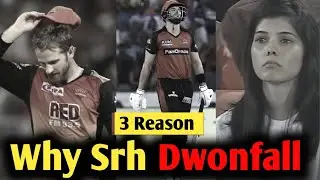 BREAKING : 3 Reason Srh Dwonfall | srh 2024 | srh