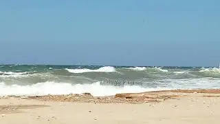 Huge Jaint Wave Captured in Marjan Beach!! Ras Al Hamra Beach Muscat Oman !! Windy Day Rough Sea