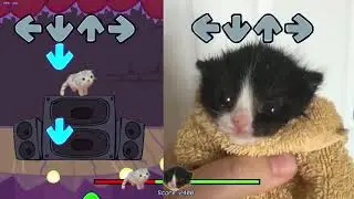 el wiwi meme compilation