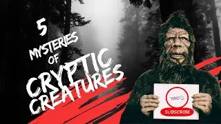 5 Mysterious Cryptic Creatures in the World