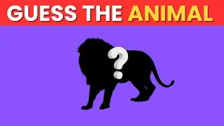 Only 1% Can Guess These Animal Shadows! 🐾💡 | Shadow Quiz Challenge