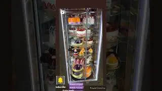 Cake Display Counter Manufacturer|Round Revolving Cake Display Case