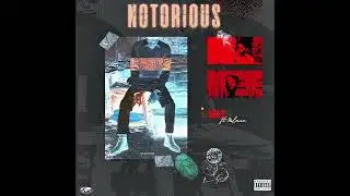 Notorious - ANAS FT. SALMAN MUSICK (Official Audio) 