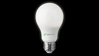 AIRDROP - 5 x Terawatt (LED)