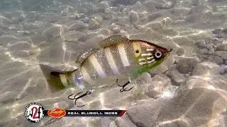 Lucky Craft Real Bluegill 150SS Underwater Video