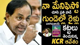 KCR Full Manifesto Details | Telangana CM K Chandra Sekhar Rao Released The Manifesto For Elections