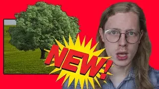 New Species of Tree Discovered - Ritzau Report