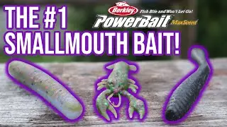 New Berkley Maxscent Shapes! | In-Depth Bait Review