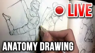 Anatomy Drawing - LIVE! ✍️🔴