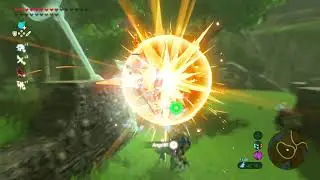 thats what BotW looks live when you have Played the Game for 420 Hours...