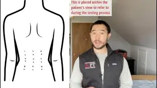 Localization Sensory Discrimination Training for pLBP