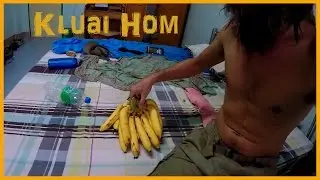 КАК УЗНАТЬ, ЧТО БАНАНЫ 