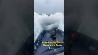The Bering Sea // Fishing Trawler #fishing #boat #alaska #viral