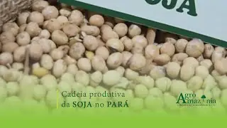 Soybean Production Chain in Par&aacute;
