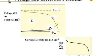 Fuel Cell (07-05) Electrode Kinetics - Voltage Losses - Activation