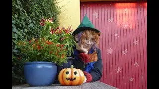 The Making of a Wizard Hat  (Tutorial)