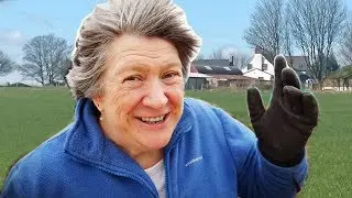 How To Grow Food In A Windy Garden (or Allotment)