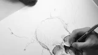 Skull Pen Drawing Time Lapse