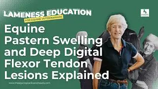 Equine Pastern Swelling and Deep Digital Flexor Tendon Lesions Explained