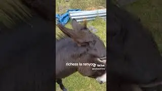Richess La R&eacute;nyon