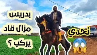 شوفوا بدريس ركب على الياقوت مع سربة😨ودرنا حسن جولة على الخيول في طبيعة ولاد زيان مع احسن باردية 🥰