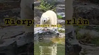 Tierpark Berlin Animals Berlin Alina's cooking And blog