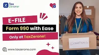 TaxZerone: упрощение подачи формы 990 для некоммерческих организаций