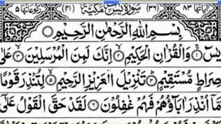 Daily Upload episode368 Surah Yaseen |Quran tilawat || Daily Quran سورۃ یٰسین || سورۃ رحمٰن Full HD