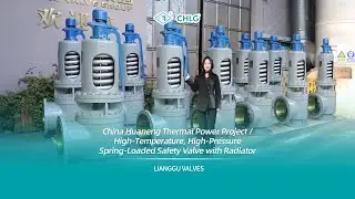 China Huaneng Thermal Power Project High-Pressure Spring-Loaded Safety Valve with Radiator