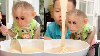 Joyful Family Time with Baby Monkey Lulu | Walk, Bake & Eat Together