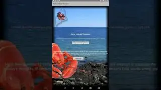 Maine Lobster Translator Demonstration by Kevin Loring