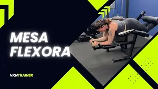 Mesa Flexora (Lying Leg Curl) - Execu&ccedil;&atilde;o T&eacute;cnica e Ajuste Padr&atilde;o | VKNTrainer