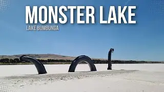 Lake Bumbunga | Why This Pink Lake Has a Loch Ness Monster