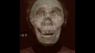 Aging Turkana Boy