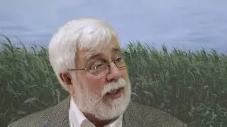 World Corn Market