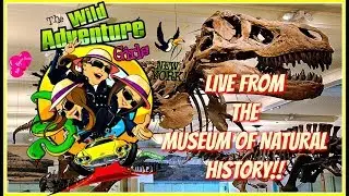 Museum of Natural History!!  North West Indians!