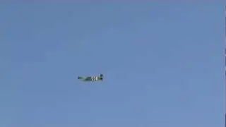Spitefite in Flight 2