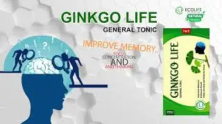 Ginkgo Life by Eco Life Pharma l Improve Memory, Focus Concentration and Thinking l ELP Products