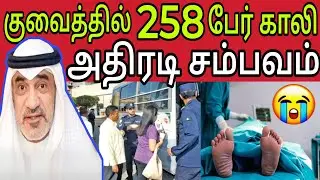 குவைத்தில் 258 பேர் காலி 😲 | அதிரடி சம்பவம் | kuwait tamil news | ziashanawaz |