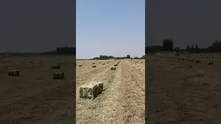 LEADER square baler working in the field