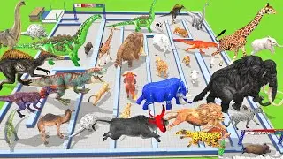 Maze Madness Race: Wild Animals Vs Dinosaurs, Which is the Fastest? Animal Revolt Battle Simulator