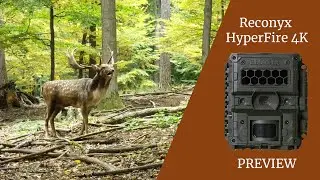 Reconyx HF4K HyperFire 4K | Prvý pohľad na kvalitu videa