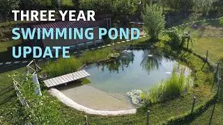 Three Year Swimming Pond Update